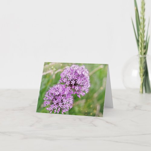 Magical Alliums Note Card