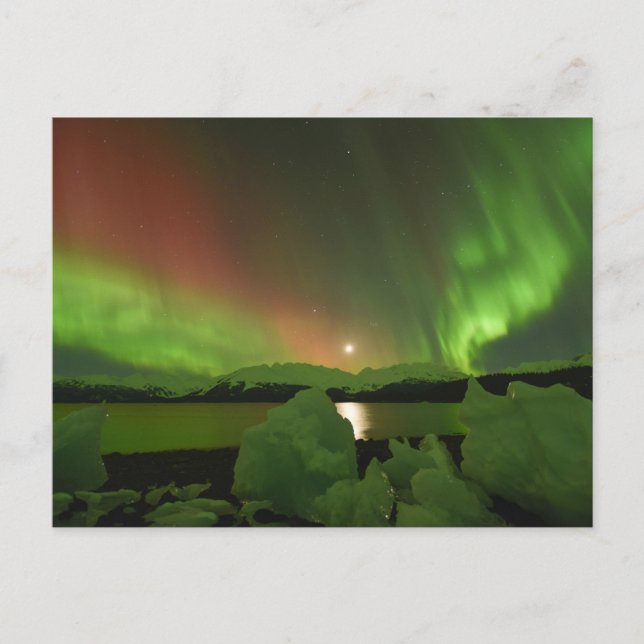 Magical Aurora Postcard (Front)