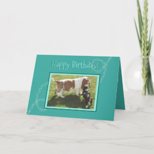 Magical Birthday Card W/Basset Hounds