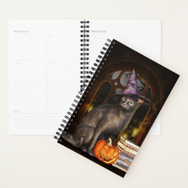 Magical Black Cat Planner (Display)