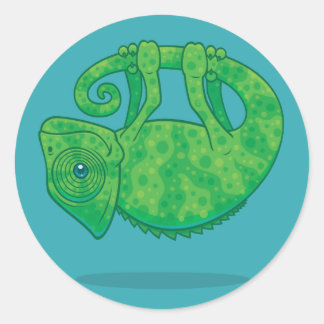 Magical Chameleon Classic Round Sticker