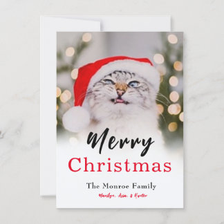 Magical Christmas Cat Photo Holiday Card