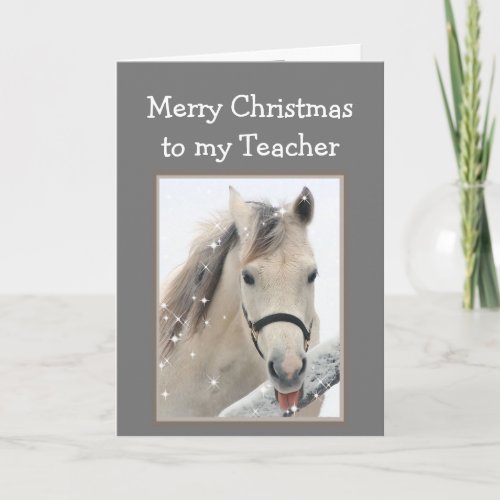 Magical Christmas Teacher  Wishes White Horse Card