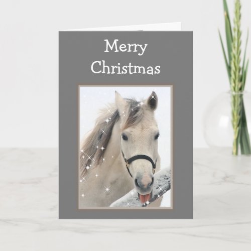 Magical Christmas Wishes White Snow Horse Animal Card