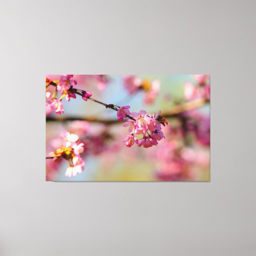 Magical Colors Of The Sakura Garden In Spring Canvas Print