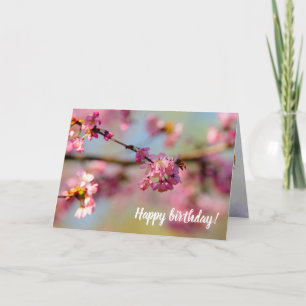 Magical Colors Of The Sakura Garden In Spring Card
