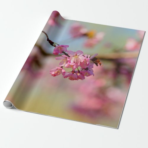 Magical Colors Of The Sakura Garden Wrapping Paper