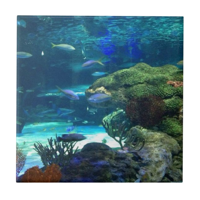 Magical Coral Reef Ceramic Tile (Front)