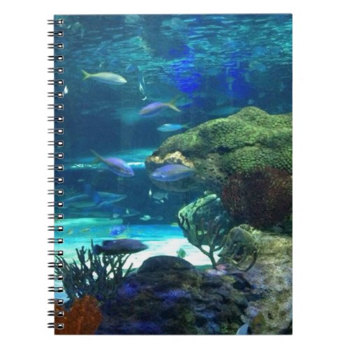 Magical Coral Reef Notebook
