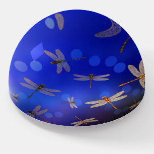 Magical Dragonflies On Blue, Paperweight