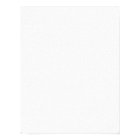 Magical Fantasy Bronze Dragon