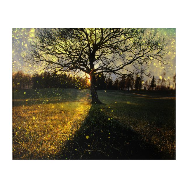 Magical fireflies dreamy landscape acrylic print (Front)