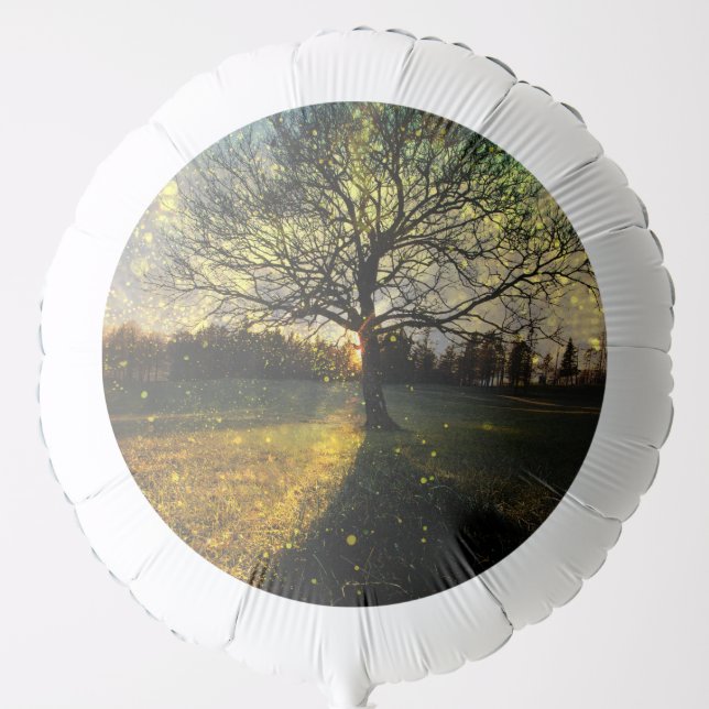 Magical fireflies dreamy landscape balloon (Front)