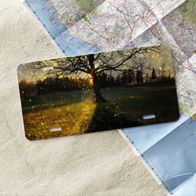 Magical fireflies dreamy landscape license plate (In Situ)