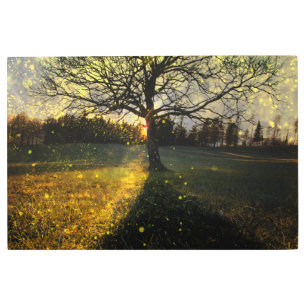 Magical fireflies dreamy landscape metal print