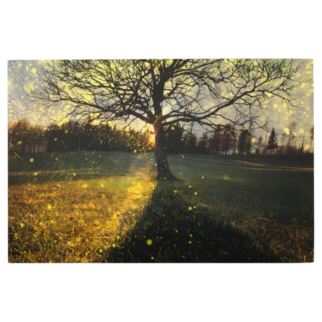 Magical fireflies dreamy landscape metal print (Front)