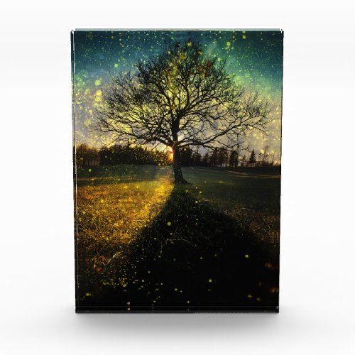 Magical fireflies dreamy landscape photo block