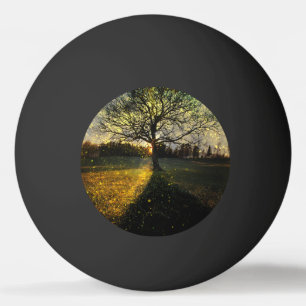 Magical fireflies dreamy landscape ping pong ball