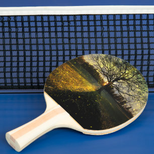 Magical fireflies dreamy landscape ping pong paddle
