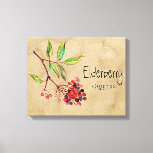 Magical Flowers Elderberry 1614 x 1286 Canva Canvas Print