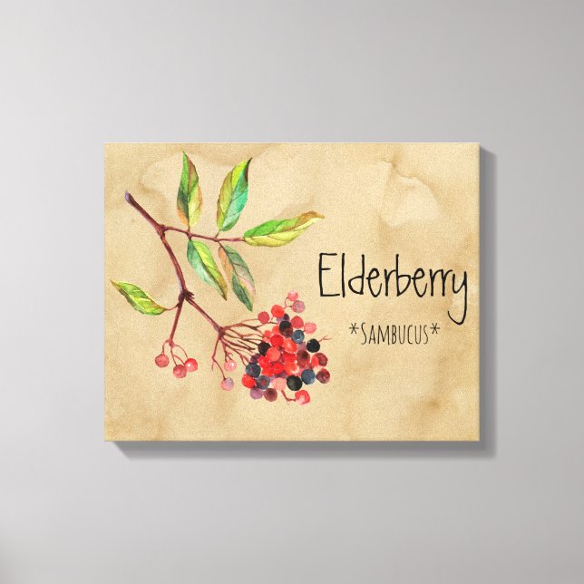 Magical Flowers Elderberry 16.14'' x 12.86'' Canva Canvas Print (Front)