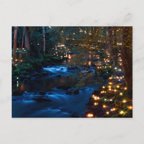 Magical forest at night postcard