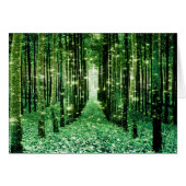 Magical Forest Green Mystery (Front Horizontal)