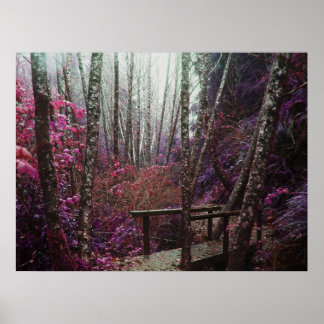 Magical Forest Poster