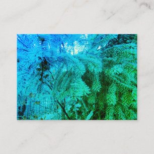 Magical Frozen Fir Tree Twigs in a Winter Forest Enclosure Card