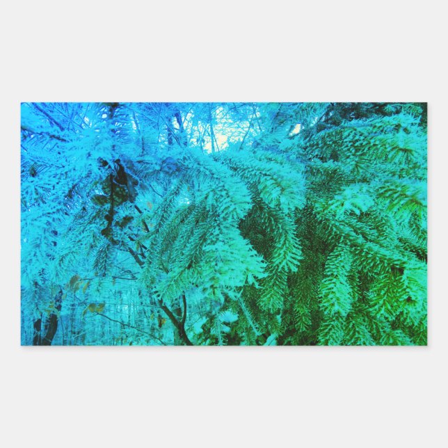 Magical Frozen Fir Tree Twigs in a Winter Forest Rectangular Sticker (Front)