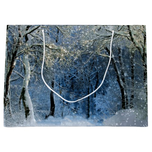 Magical Glittery Winter Wonderland Gift Bag