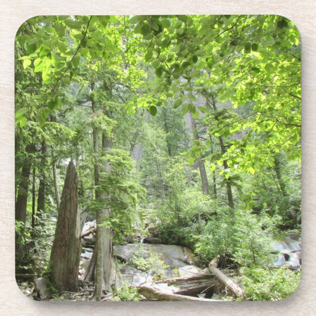 Magical Green Forest Scene.   Beverage Coaster (Front)