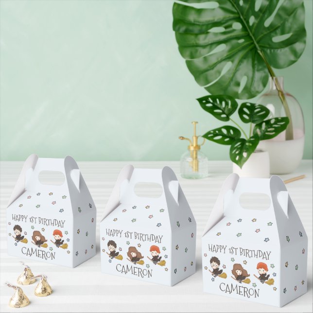 Magical HARRY POTTER™ and Hogwarts Birthday Favor Boxes (Multiple)