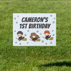 Magical HARRY POTTER™ and Hogwarts Birthday Sign