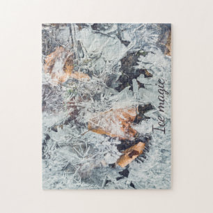 Magical ice crystals pattern with fallen leaves jigsaw puzzle