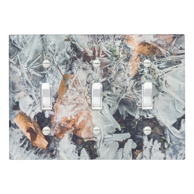 Magical ice crystals pattern with fallen leaves light switch cover (In Situ)