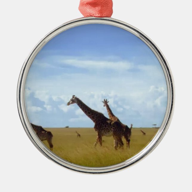 Magical Kenya Keepsake: Nairobi Park Holiday Ornam Metal Ornament (Front)