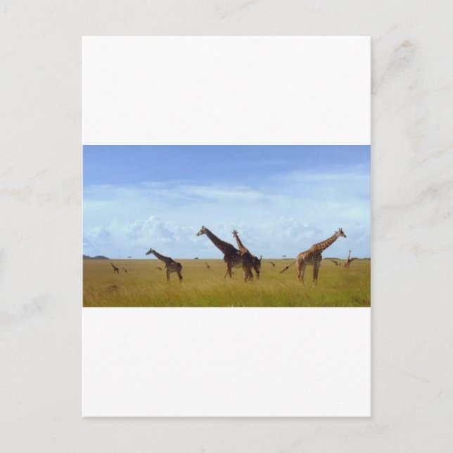 Magical Kenya Keepsake: Nairobi Park Holiday Ornam Postcard (Front)