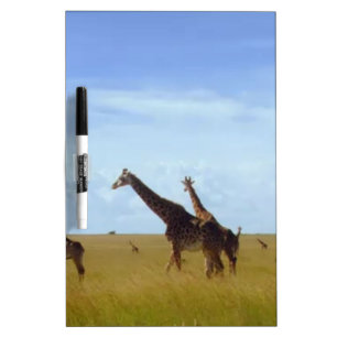 Magical Kenya: Nairobi Park Wildlife Utility Suite Dry-Erase Board