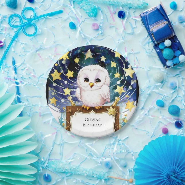 Magical Kids' Owl Birthday Paper Plates (Party)