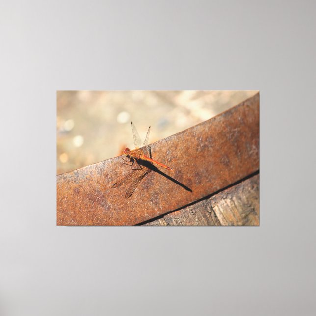 Magical Looking Dragonfly Canvas Print (Front)