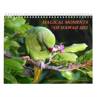 Magical Moments of Hawaii 2012 Calendar