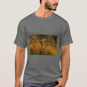 Magical Mushroom Art T-Shirt