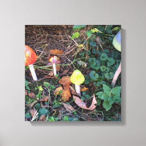 Magical Mushroom Garden Photographic Canvas Print