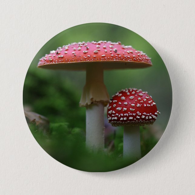 Magical Mushrooms Pinback Button (Front)