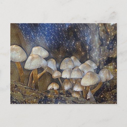 Magical Mushrooms Postcard