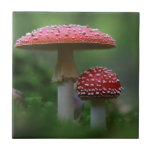 Magical Mushrooms Tile at Zazzle