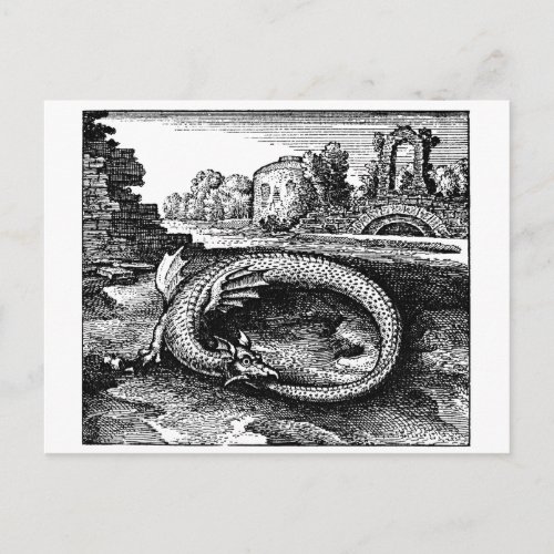 Magical Ouroboros Dragon Postcard