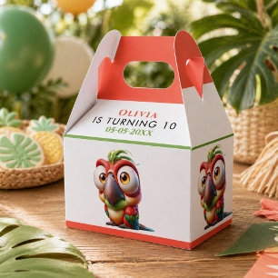  Magical Parrot Caricatures 1st Birthday Favor Boxes