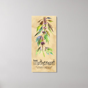 Magical Plants Motherwort 18.30'' x 41.73'' Canvas